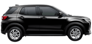 Black Mica Metallic