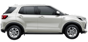 Shining Pearl White